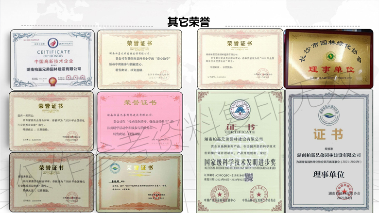 湖南柏嘉兄弟园林建设有限公司-企业宣传 - 副本_20.jpg