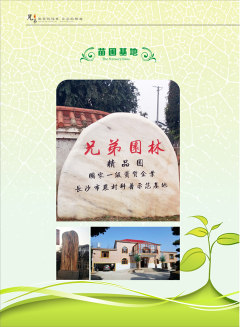 图片0.png